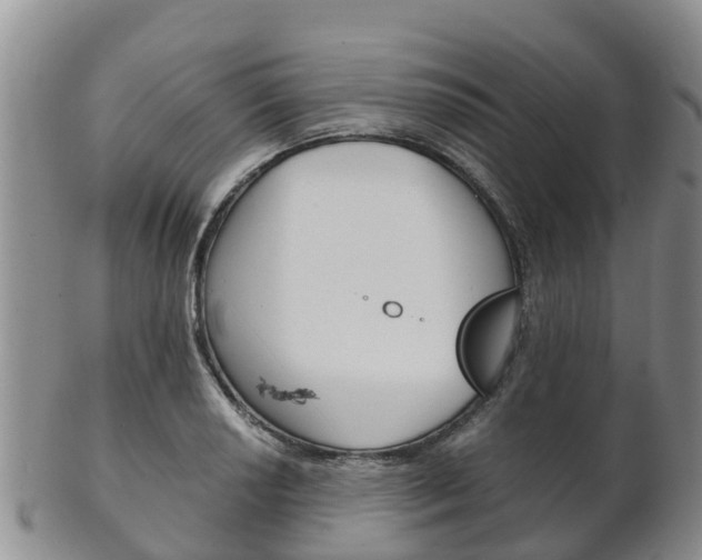 X0000102521034200808081025