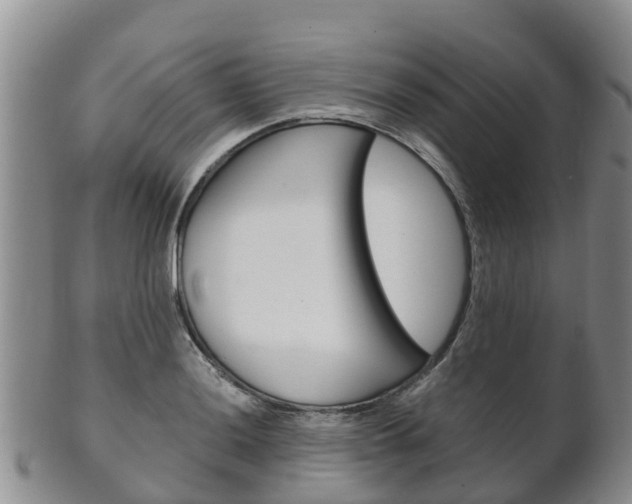 X0000102521036200808081025