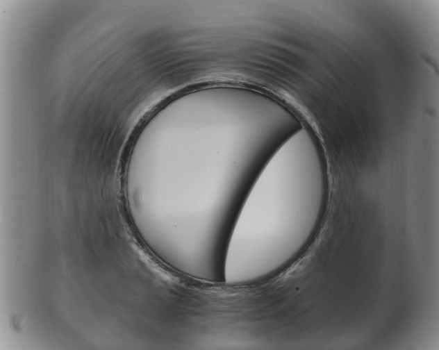 X0000102521037200808081025