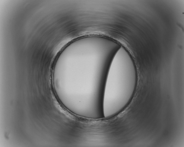 X0000102521038200808081025