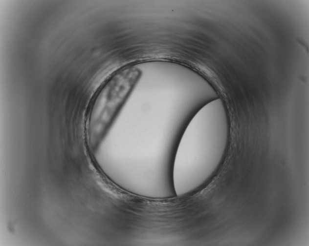 X0000102521039200808081025