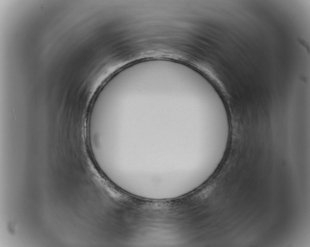 X0000102521040200808081025