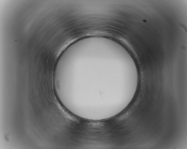 X0000102521041200808081025