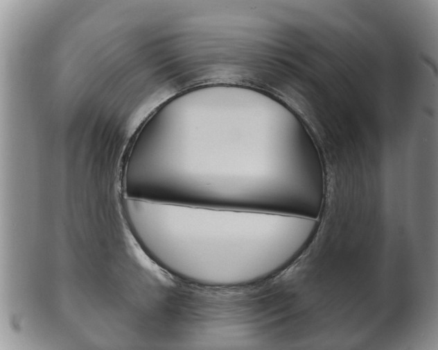 X0000102521042200808081025