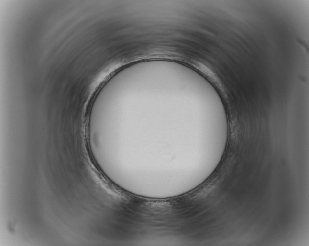 X0000102521043200808081025