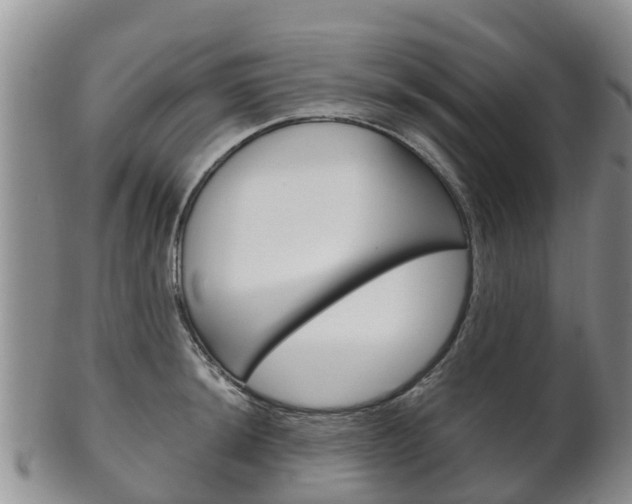 X0000102521044200808081025
