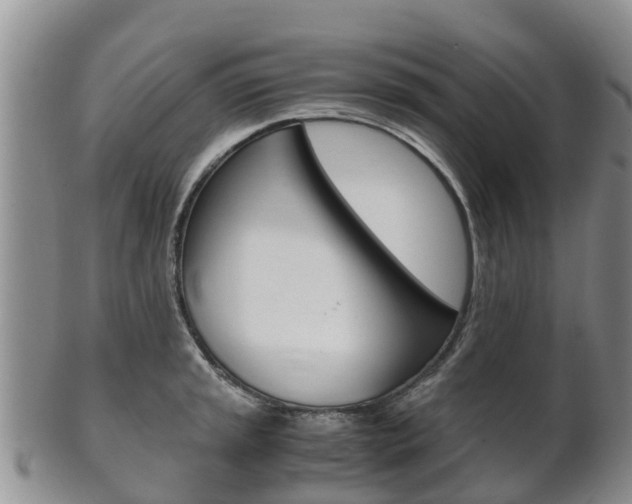 X0000102521045200808081025