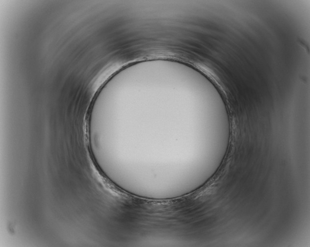X0000102521047200808081025