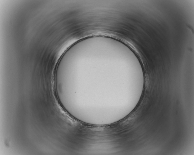 X0000102521048200808081025