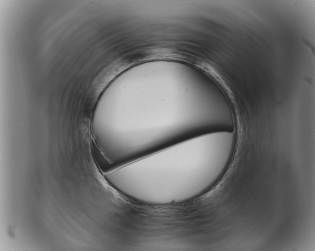 X0000102521049200808081025
