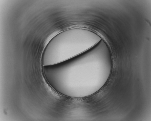 X0000102521050200808081025