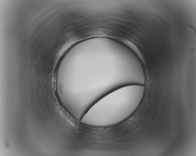 X0000102521051200808081025