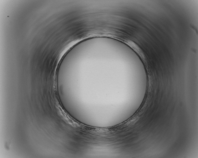 X0000102521052200808081025