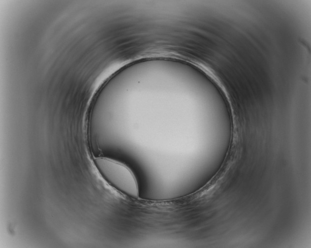 X0000102521053200808081025
