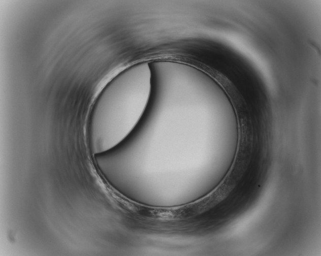 X0000102521054200808081025