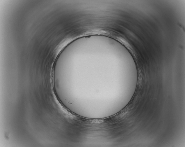 X0000102521055200808081025