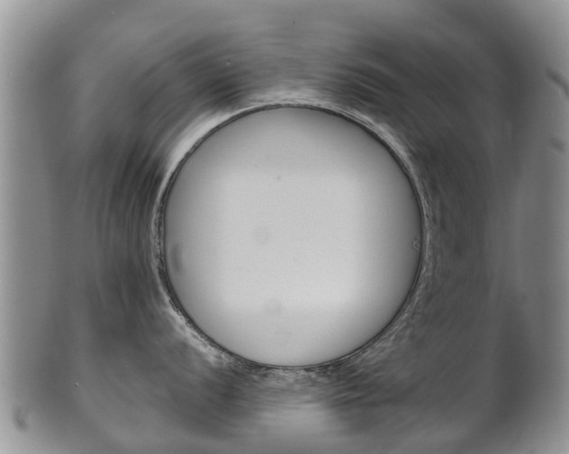 X0000102521056200808081025