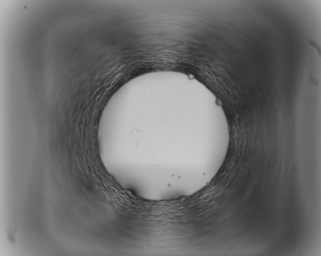 X0000102521057200808081024