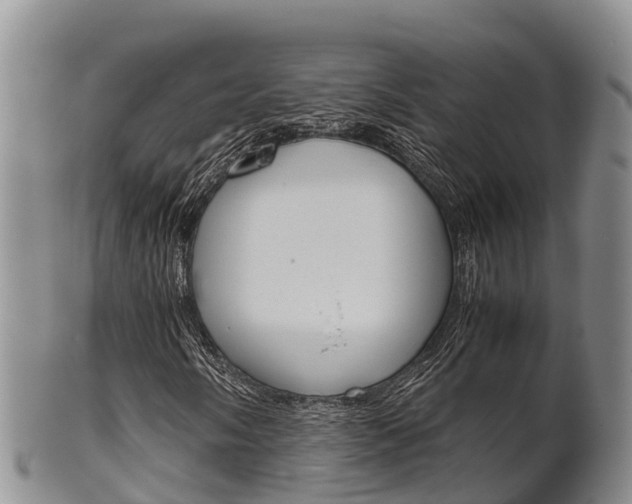 X0000102521058200808081024