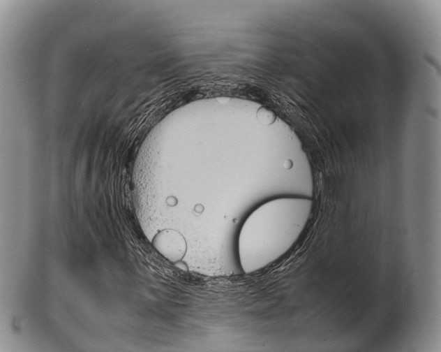 X0000102521059200808081024
