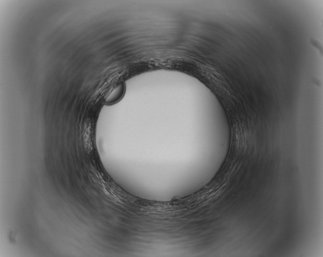 X0000102521060200808081024