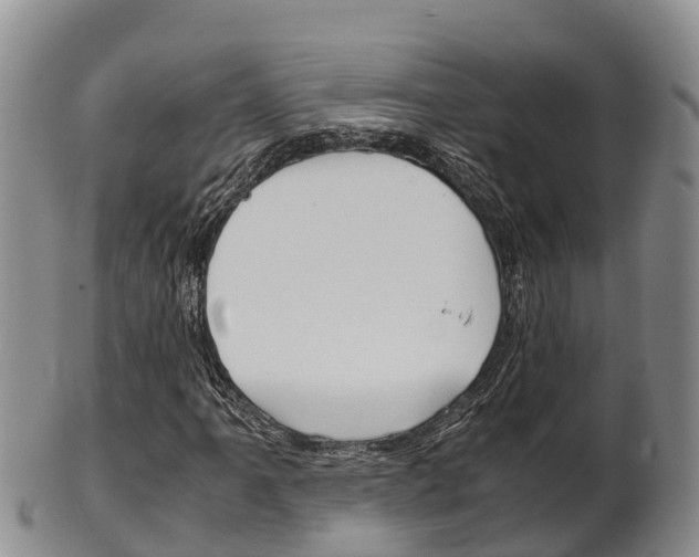 X0000102521061200808081024