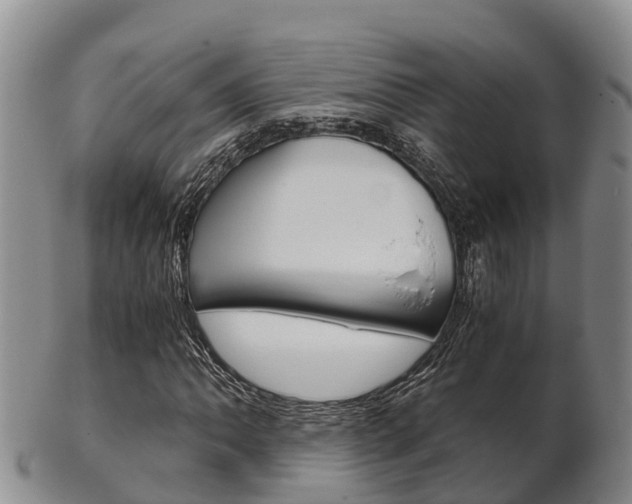 X0000102521062200808081024