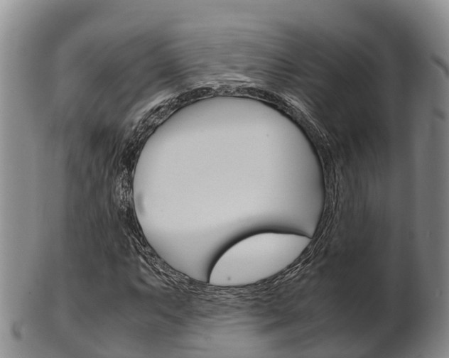 X0000102521063200808081024