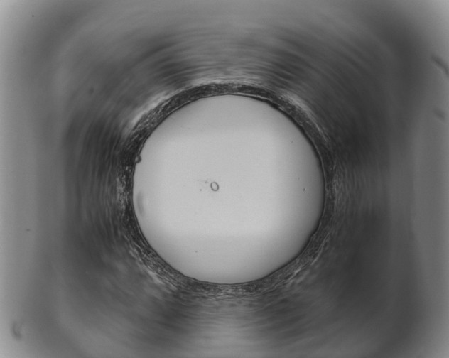 X0000102521064200808081024