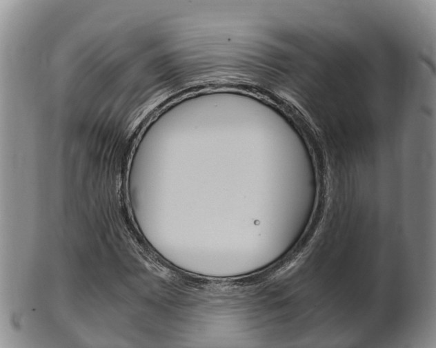 X0000102521065200808081024
