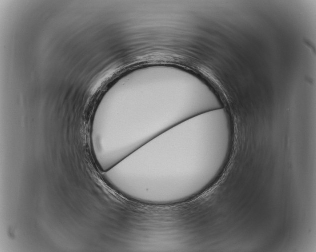X0000102521067200808081024