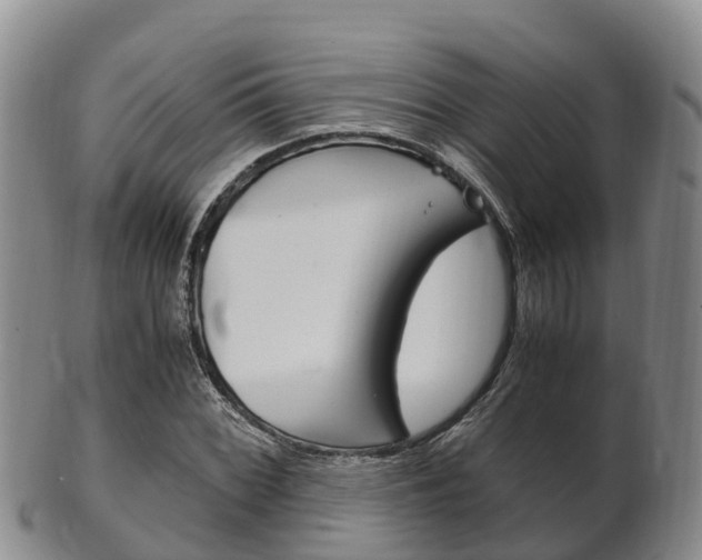 X0000102521068200808081024