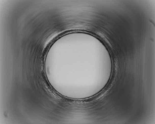 X0000102521069200808081024
