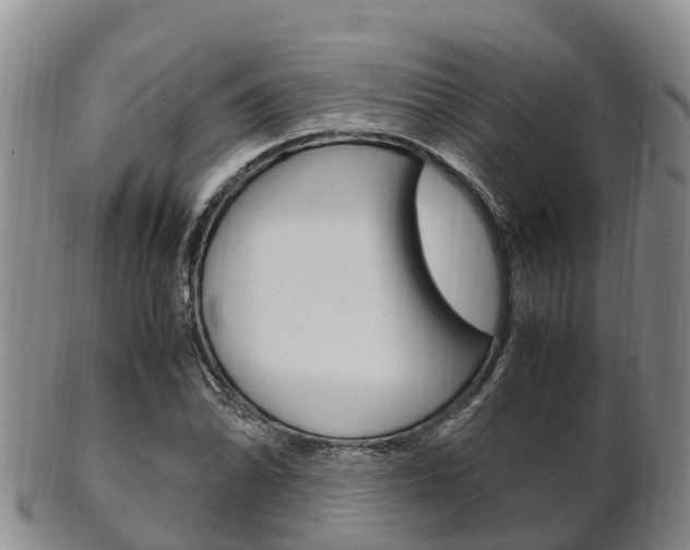 X0000102521070200808081024
