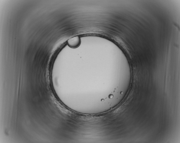 X0000102521072200808081024