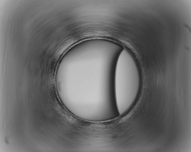 X0000102521073200808081024