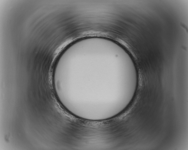 X0000102521074200808081024