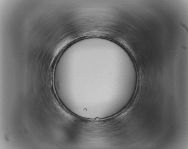 X0000102521075200808081024