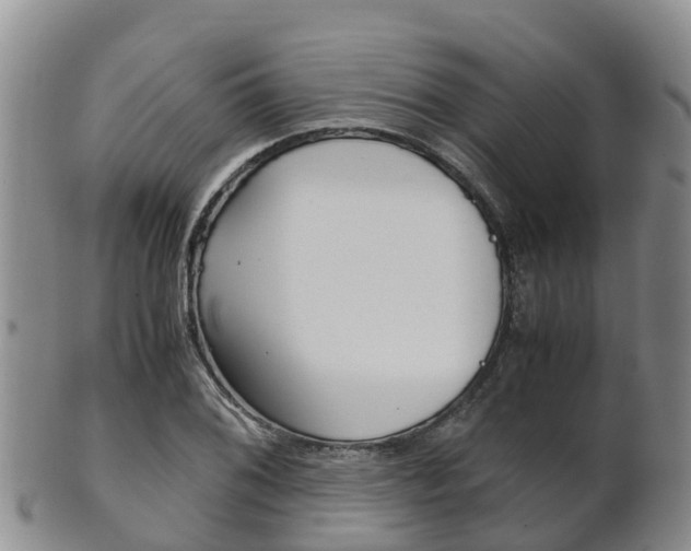 X0000102521076200808081024