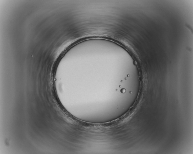 X0000102521077200808081024