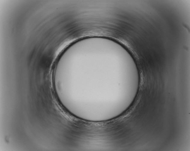 X0000102521078200808081024