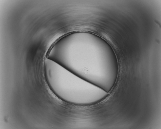 X0000102521079200808081024