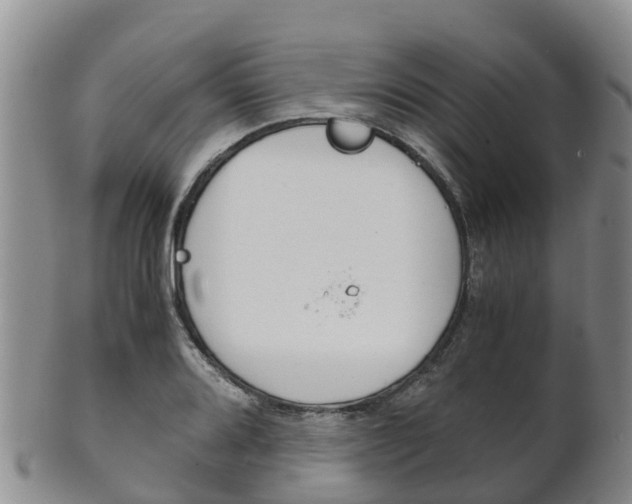X0000102521080200808081024