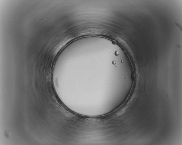 X0000102521081200808081024