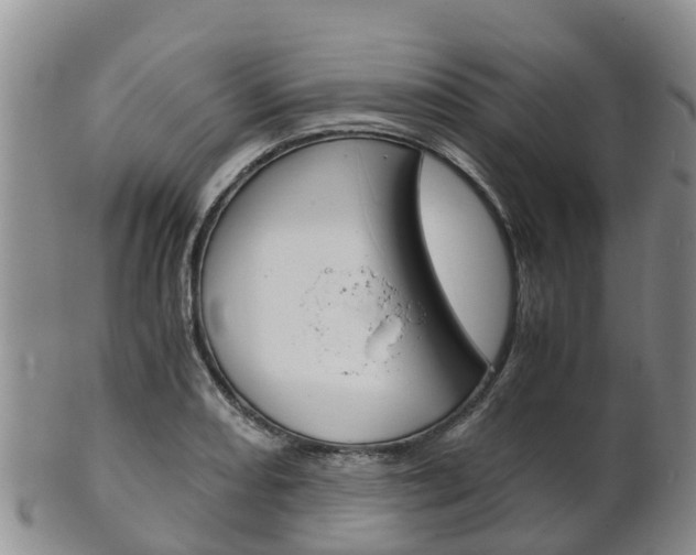X0000102521082200808081024