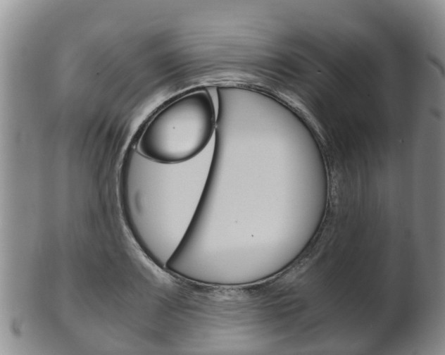 X0000102521083200808081024