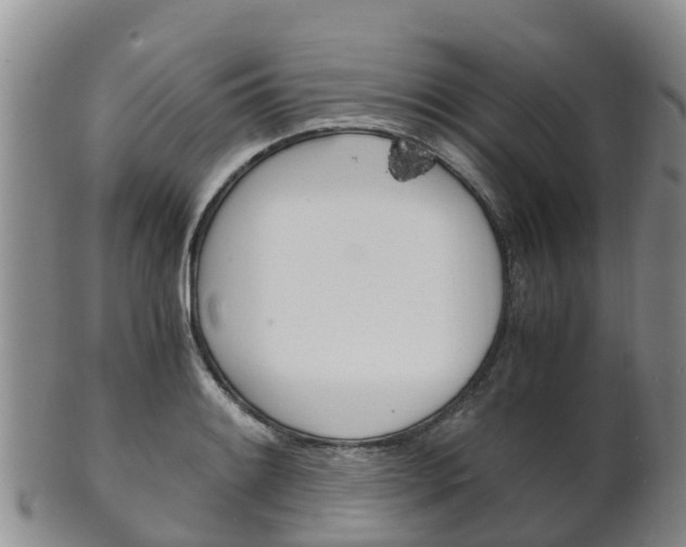 X0000102521084200808081024