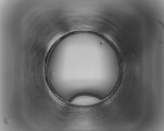X0000102521085200808081024