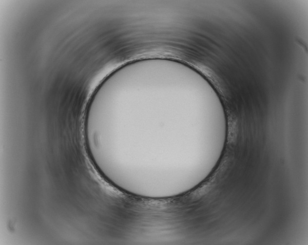 X0000102521086200808081024
