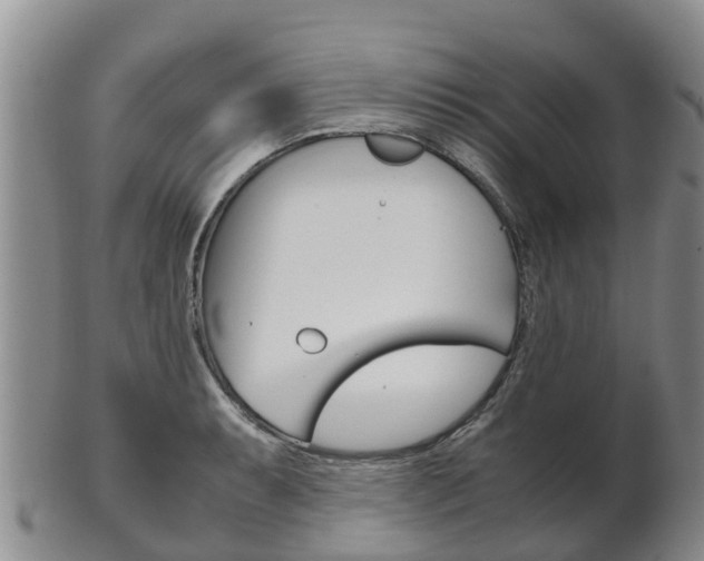 X0000102521087200808081024